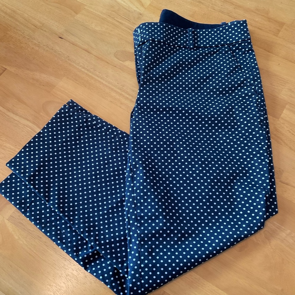 Ann Taylor Size 10 Dark Blue & White Crop Pants